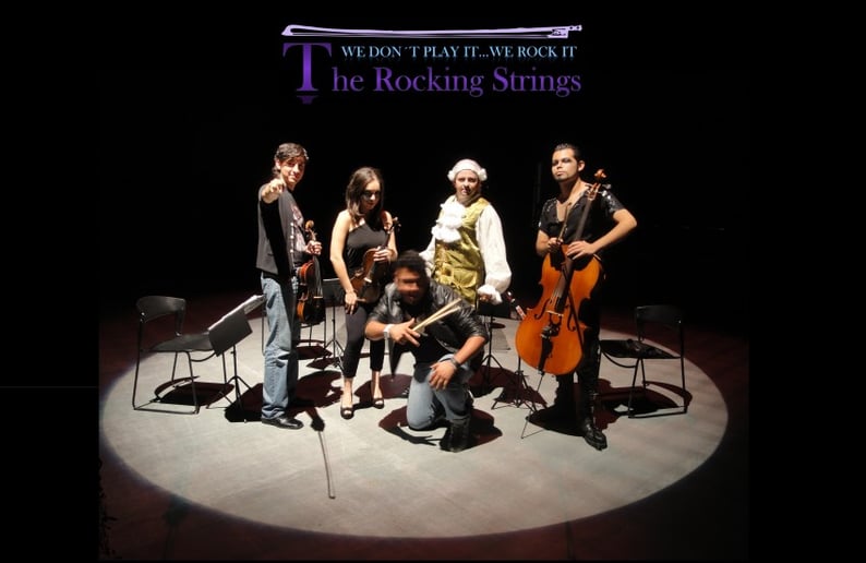Gallery photo 8 of Viol Consort String Quartet