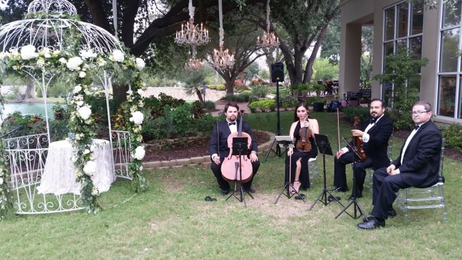 Gallery photo 9 of Viol Consort String Quartet