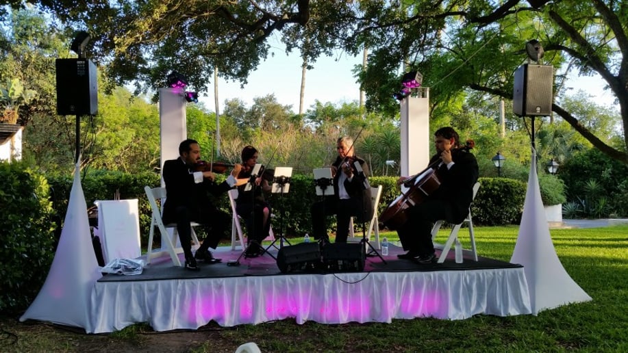 Gallery photo 10 of Viol Consort String Quartet