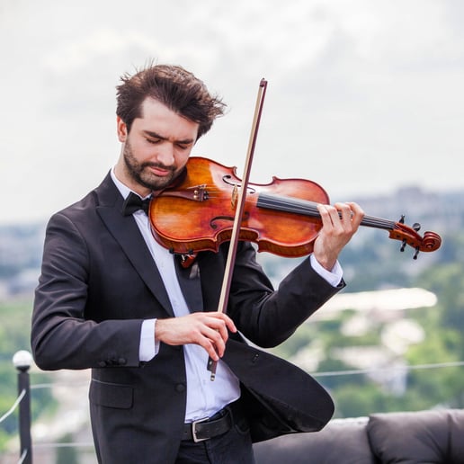 Gallery photo 7 of Luxury Violinist