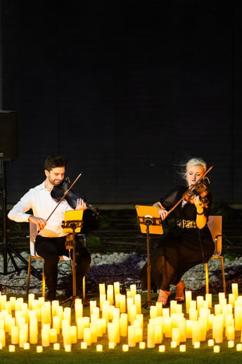 Gallery photo 10 of Luxury Violinist