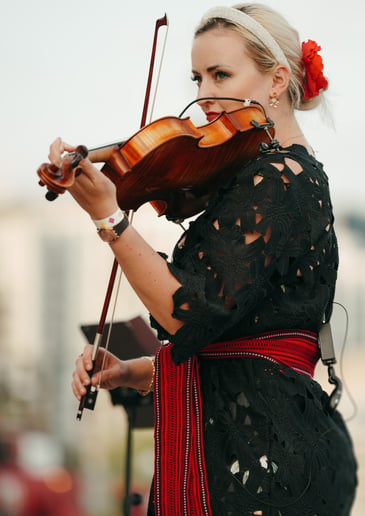 Gallery photo 11 of Luxury Violinist