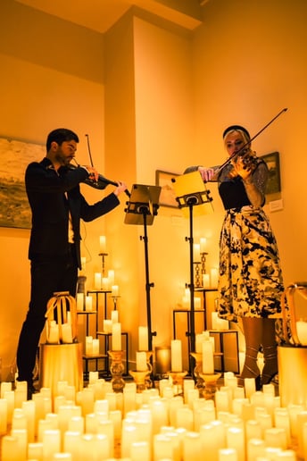 Gallery photo 15 of Luxury Violinist