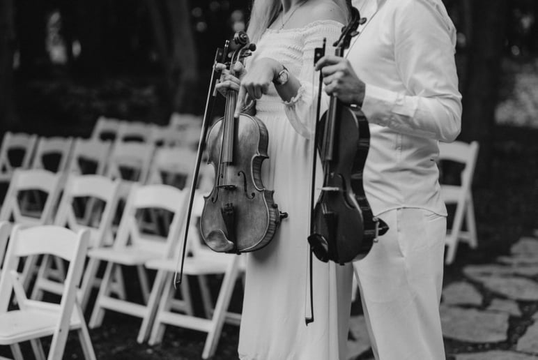 Gallery photo 20 of Luxury Violinist