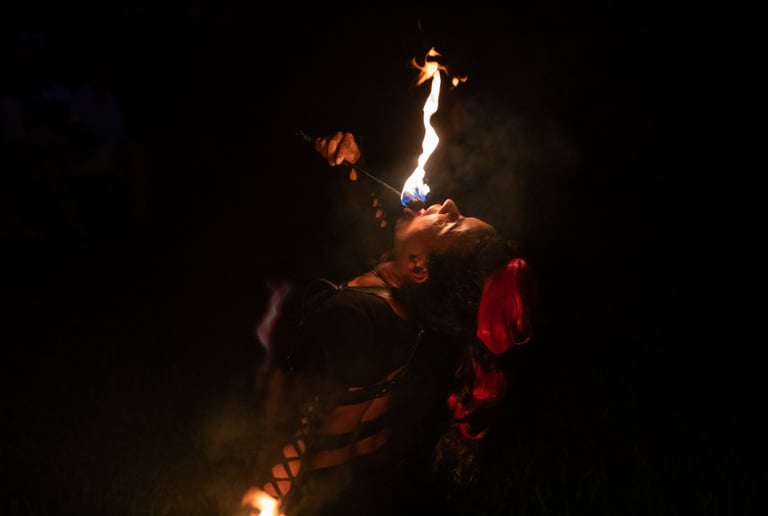 Gallery photo 1 of VioletaFire