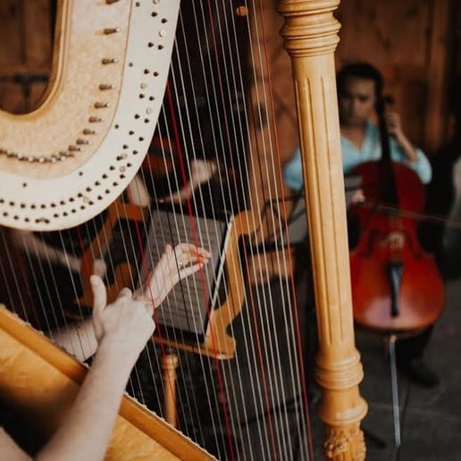 Gallery photo 4 of Violetta Strings