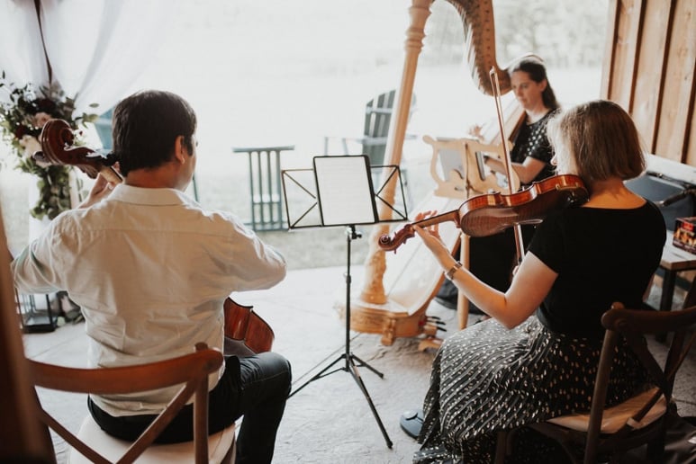 Gallery photo 7 of Violetta Strings