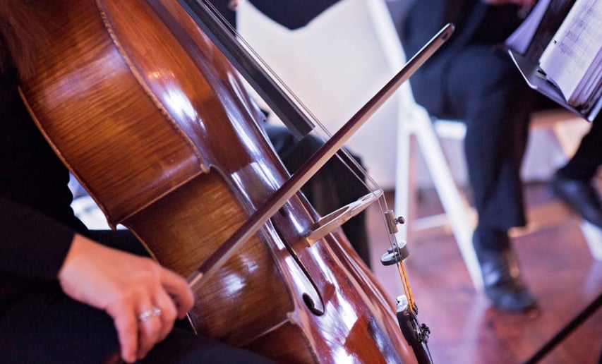 Gallery photo 8 of Violetta Strings