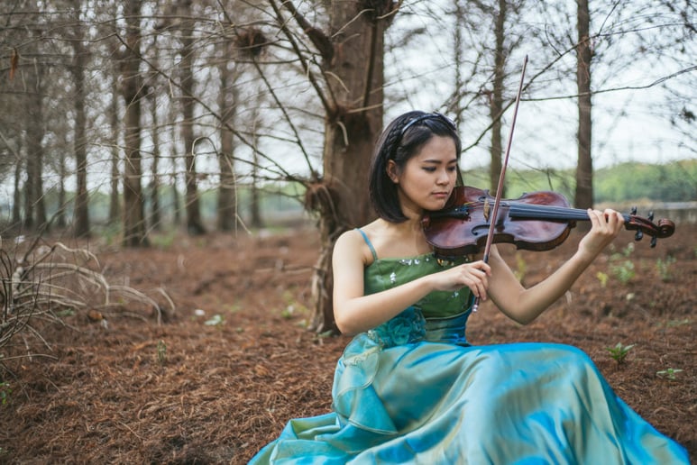 Gallery photo 1 of Violin and Piano Musician