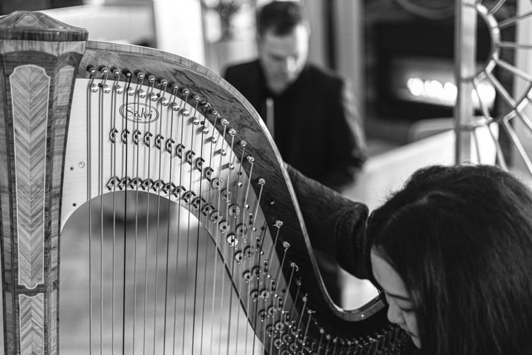 Gallery photo 3 of Vancouver Duo