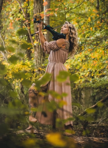Gallery photo 2 of Violin from the Heart