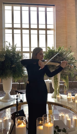 Gallery photo 4 of Violin Performance - Miami
