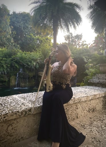 Gallery photo 3 of Violin Performance - Miami