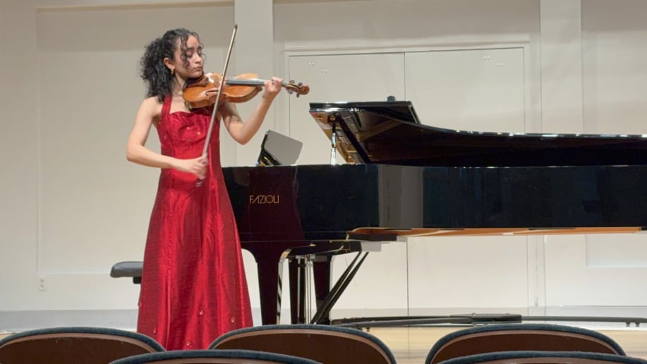Gallery photo 2 of Violin Solo Player, Hila D