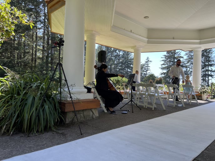 Gallery photo 2 of Violin & Cello