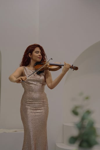 Gallery photo 1 of Violiness
