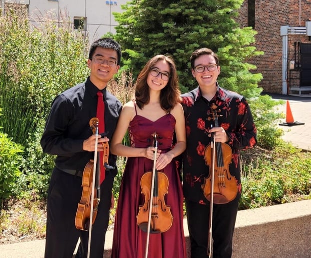 Gallery photo 7 of Violinist