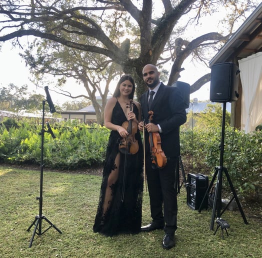 Gallery photo 5 of Violinist for events