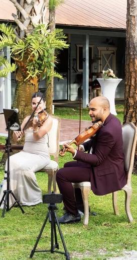 Gallery photo 6 of Violinist for events