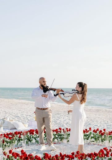 Gallery photo 10 of Violinist for events