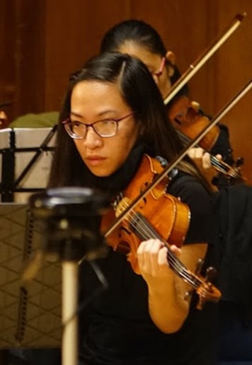 Gallery photo 3 of Violinist