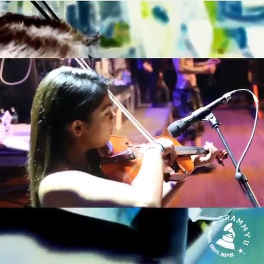 Gallery photo 1 of Violinist