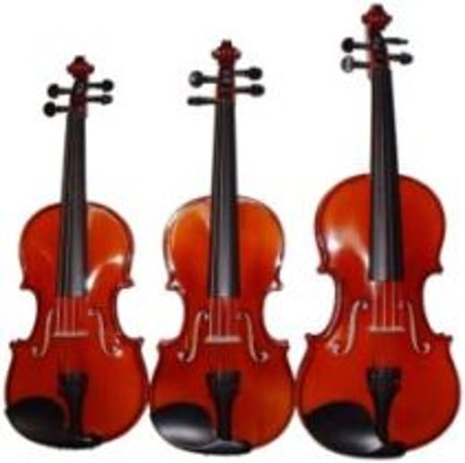 Gallery photo 4 of Violinist & Lux Ensemble