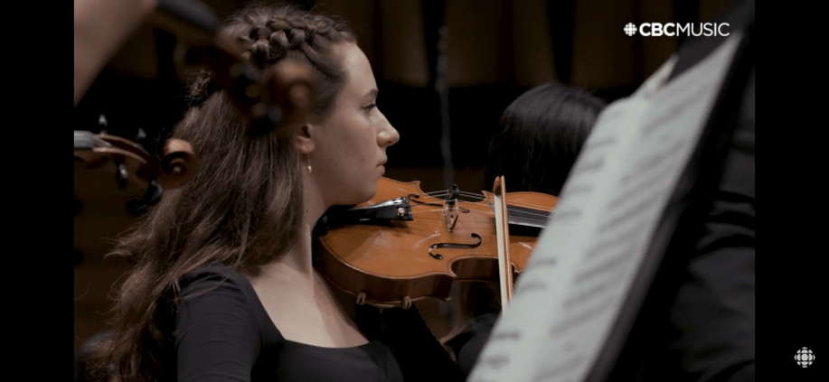 Gallery photo 2 of Violinist