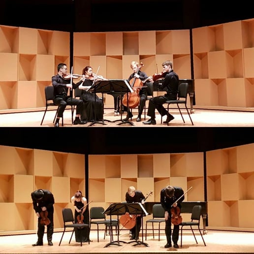 Gallery photo 2 of Violist For All Occasions