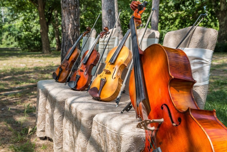 Gallery photo 6 of Violli Trio