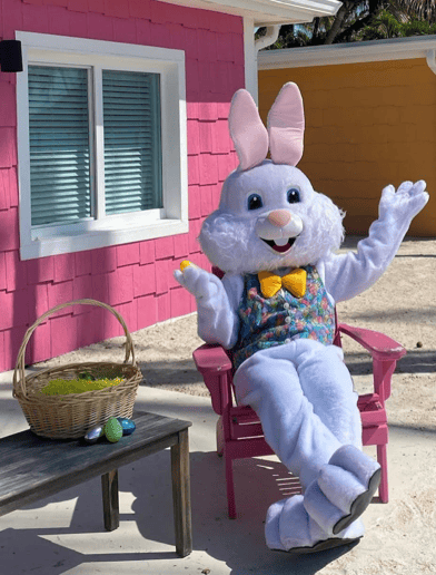 Gallery photo 53 of Party Animal Productions