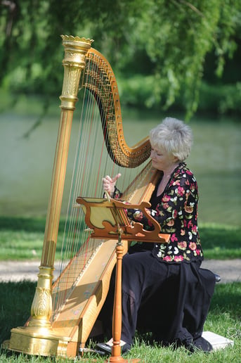 Gallery photo 3 of Virginia Schweninger
