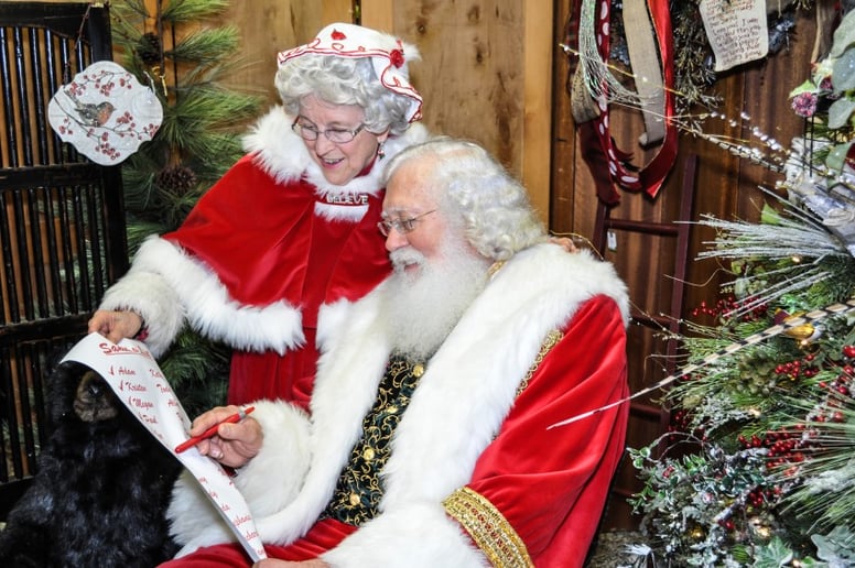 Gallery photo 2 of Virginia/Carolina Santa
