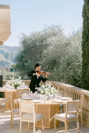 Gallery photo 5 of Virtuous Violinist