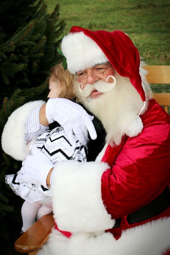 Gallery photo 5 of Visit from Santa