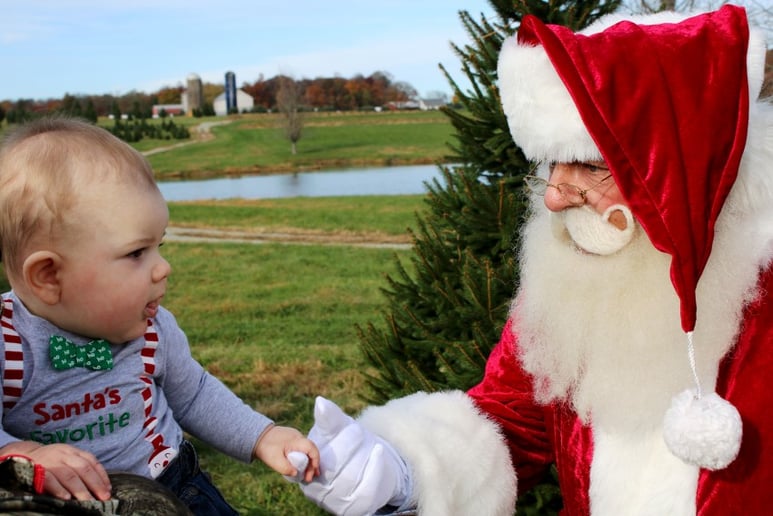 Gallery photo 1 of Visit from Santa