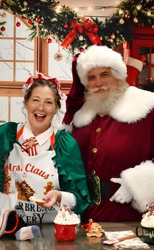 Gallery photo 3 of Visit with Santa Claus