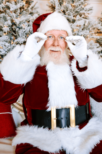 Gallery photo 3 of Visit with Santa