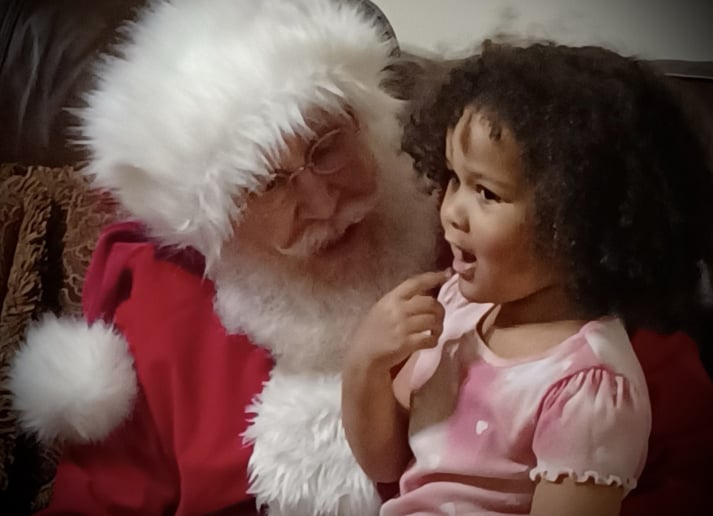Gallery photo 4 of Visits with Santa - Santa Dan