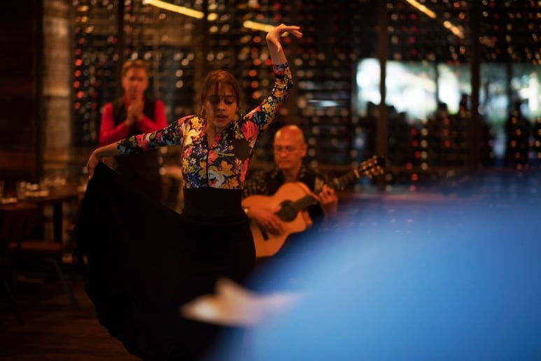 Gallery photo 4 of Flamenco Bravo!