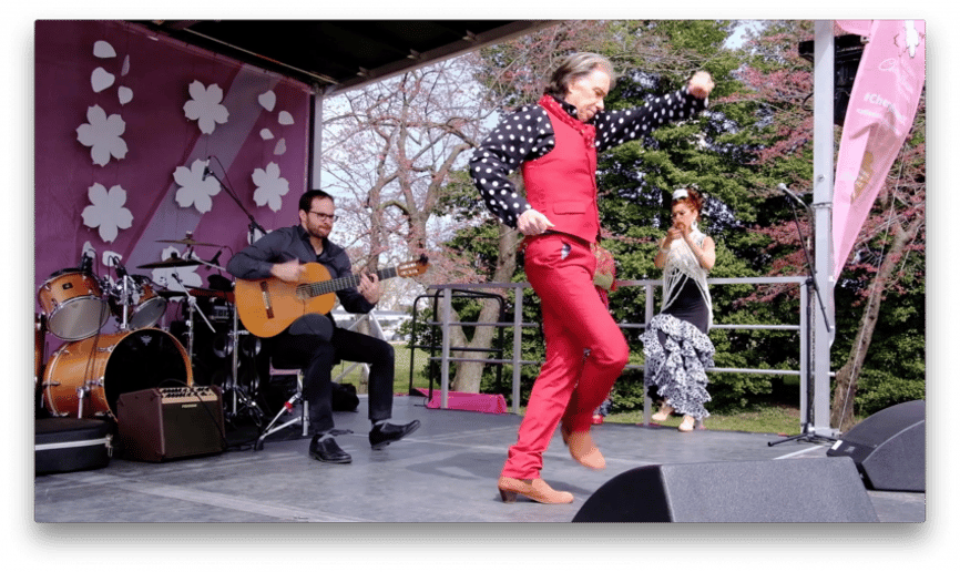 Gallery photo 9 of Flamenco Bravo!