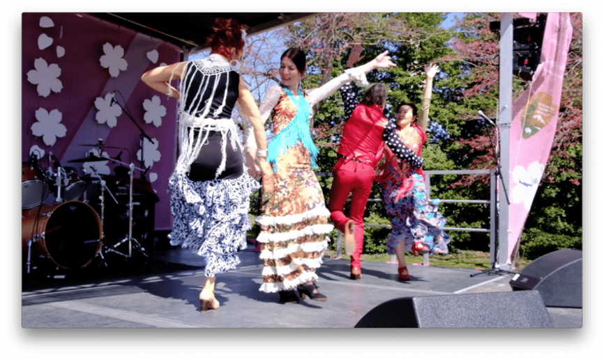 Gallery photo 10 of Flamenco Bravo!