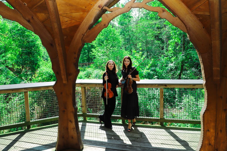 Gallery photo 4 of Viva La Vida String Quartet LLC