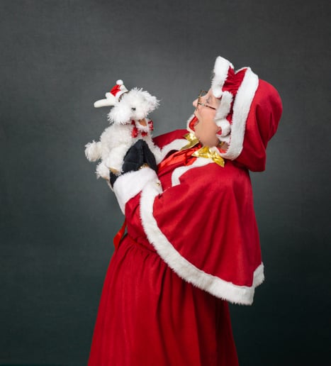 Gallery photo 9 of Vivace Voices, LLC. & The Fireside Carolers