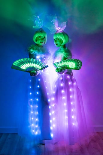 Gallery photo 4 of Vivant Entertainment
