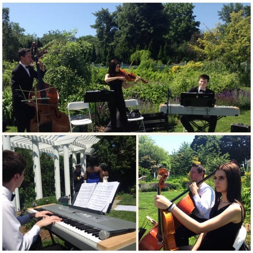 Gallery photo 88 of VSmusic4u Wedding & Event Musicians