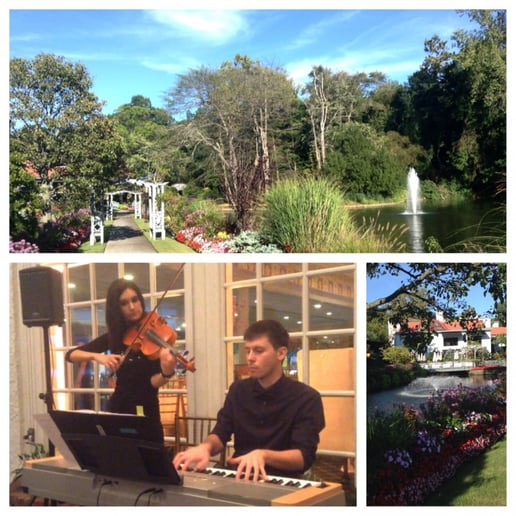 Gallery photo 85 of VSmusic4u Wedding & Event Musicians