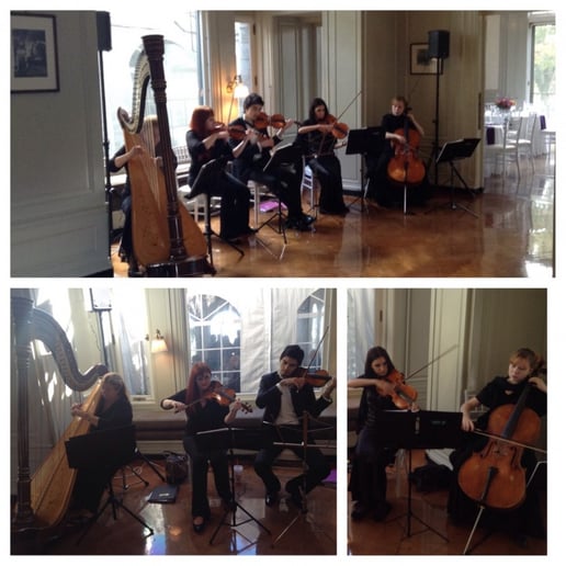 Gallery photo 62 of VSmusic4u Wedding & Event Musicians