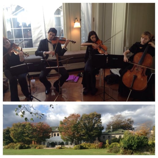 Gallery photo 71 of VSmusic4u Wedding & Event Musicians