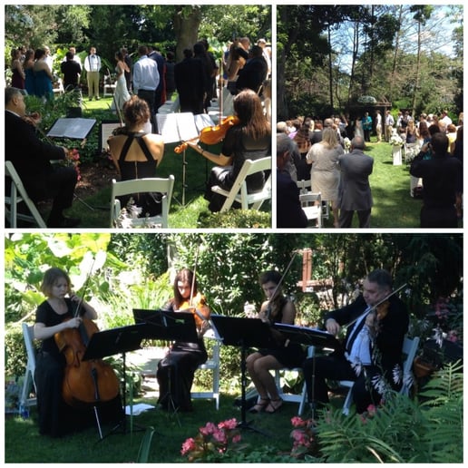 Gallery photo 53 of VSmusic4u Wedding & Event Musicians
